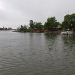 Carpe auf Haapasaari