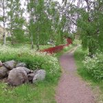 Haapasaari