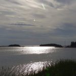 Carpe am Steg auf Solowetski