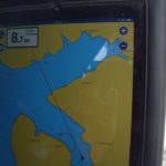 Carpe im Geschwindigkeitsrausch