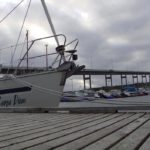 Carpe am Steg in Finnsnes